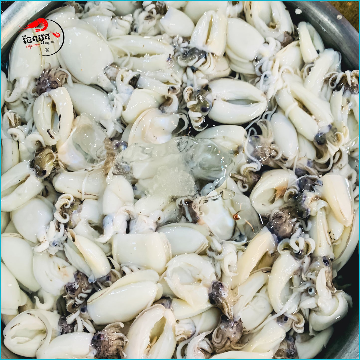 មឹកបក