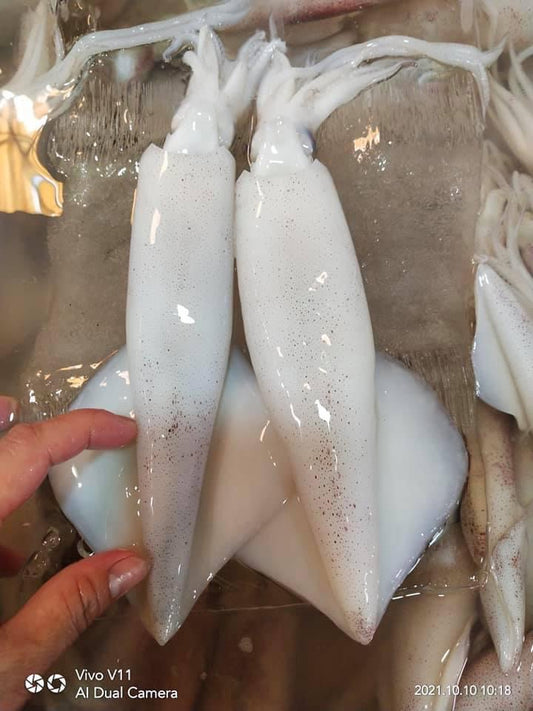 មឹក បំពង់