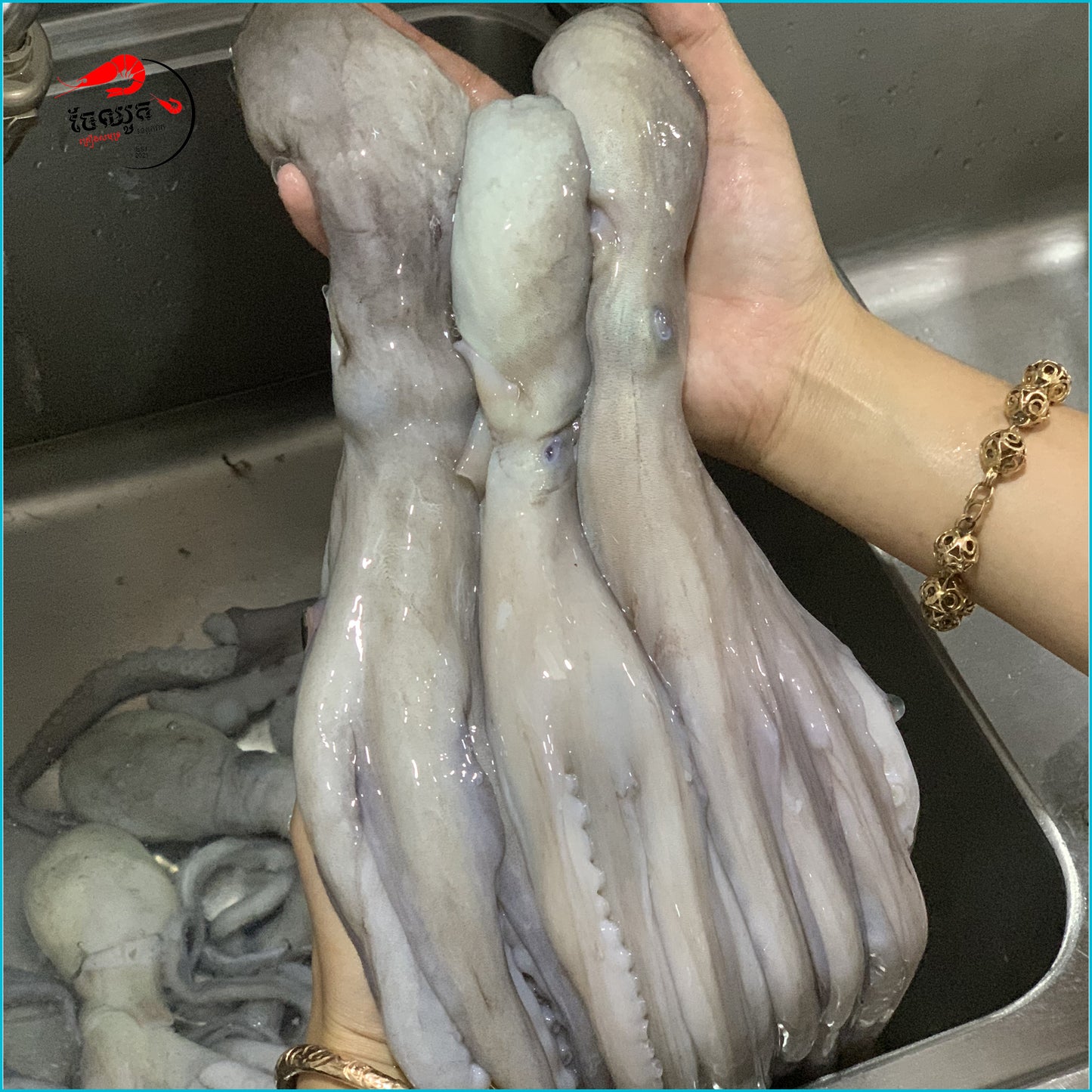 មឹកពីងពាង