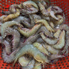បង្គារចញ្ចឹម