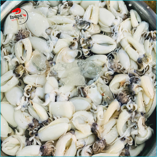 មឹកបក