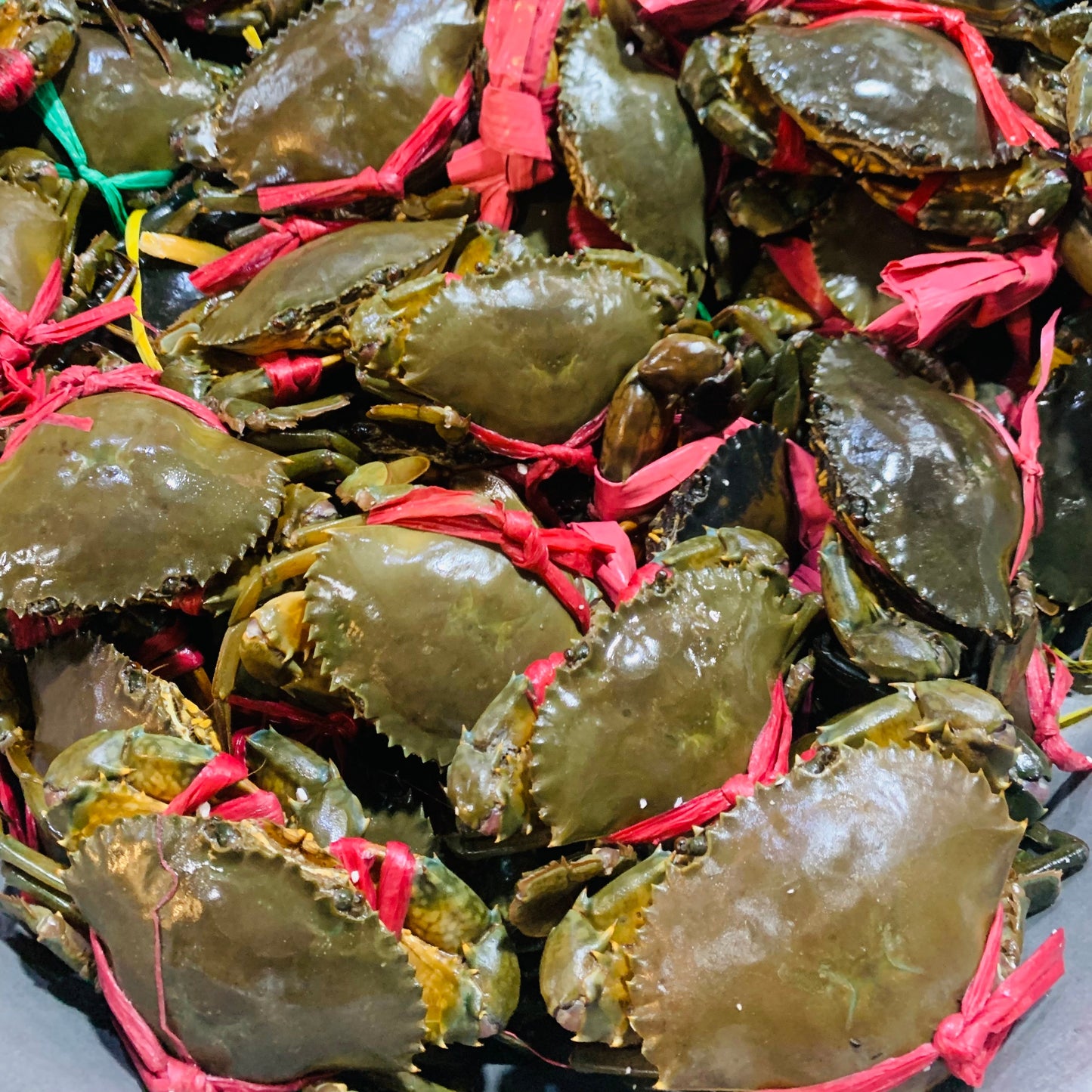 ក្ដាមថ្ម
