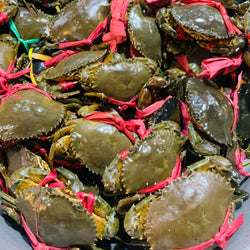ក្ដាមថ្ម