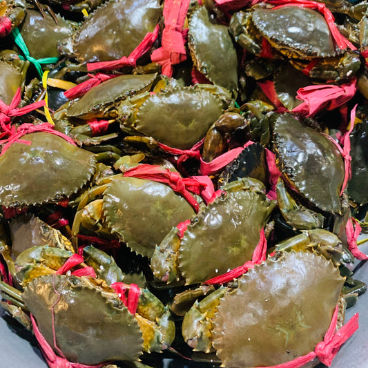ក្ដាមថ្ម