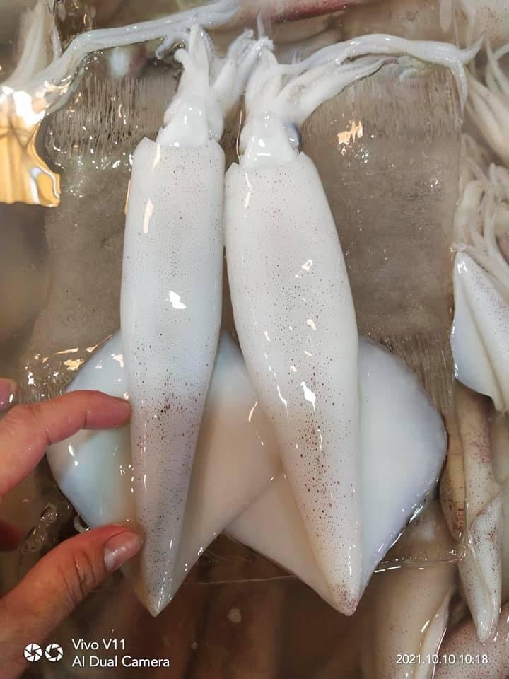មឹក បំពង់